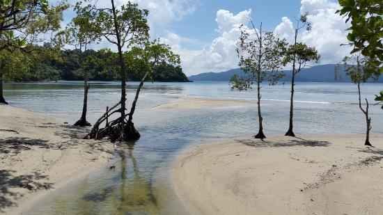 1541121257_chidiya_tapu_cover