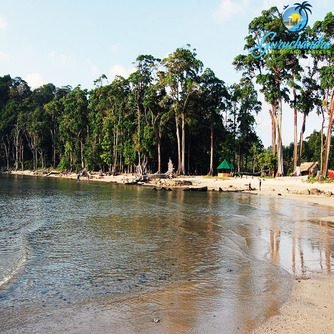 Chidiya Tapu Beach (1)