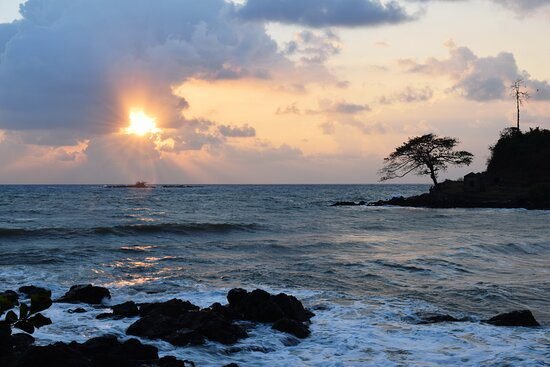 carbyn-cove-beach-port